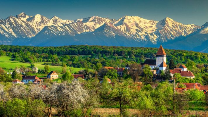 dich vu ship hang tu vietnam di romania