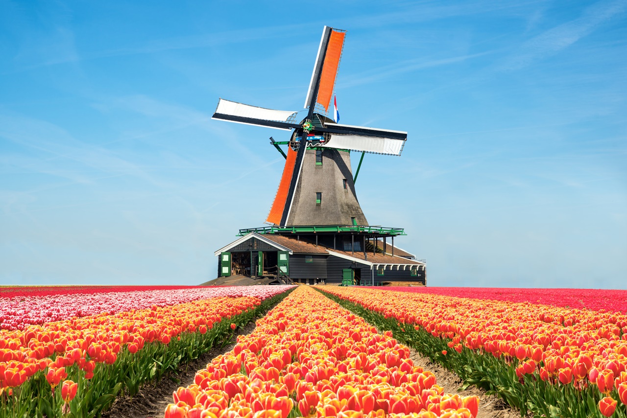 Vận chuyển hạt điều đi Hà Lan