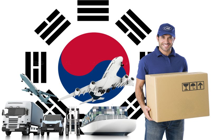 Lý do chọn HueLogistics để vận chuyển Labubu đi Hàn Quốc? 