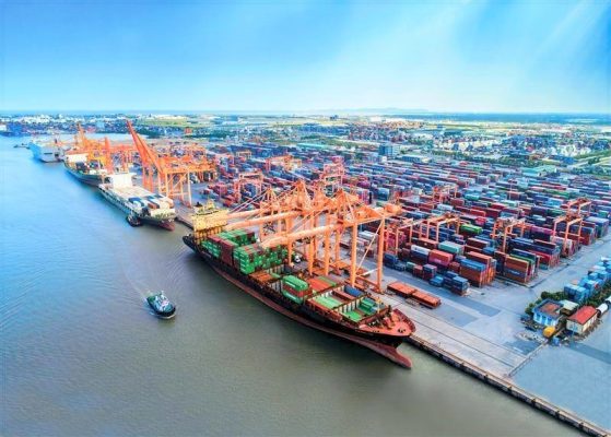 LCL là gì? Phân biệt hàng LCL và hàng FCL trong xuất nhập khẩu